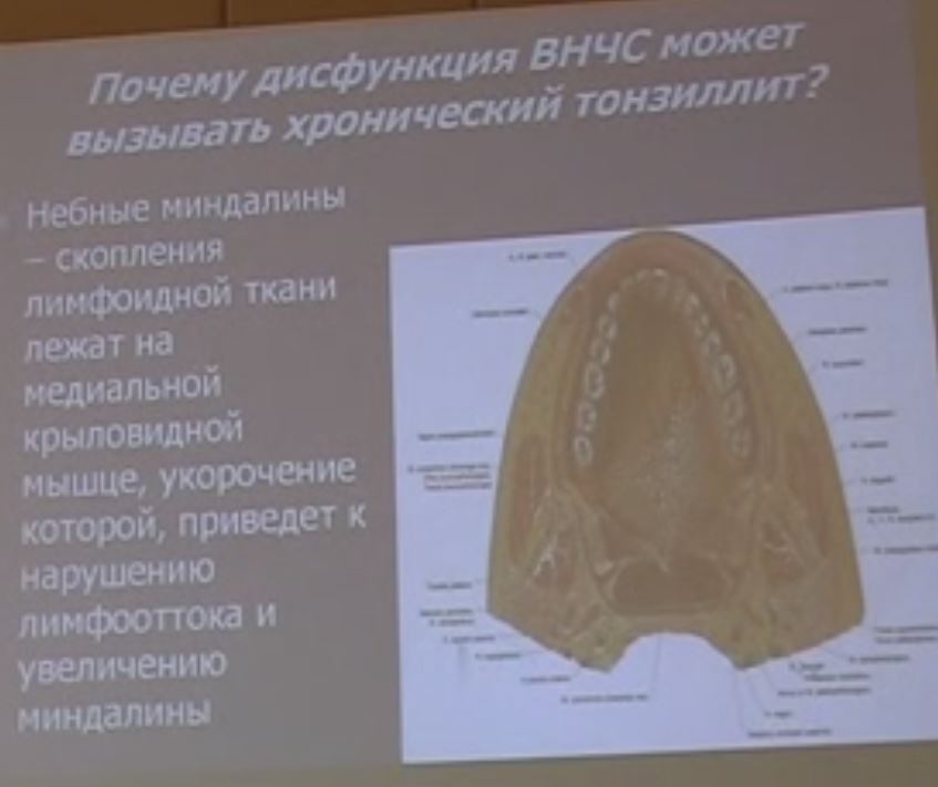 D0 A1 D0 BD D0 B8 D0 BC D0 BE D0 BA4.jpeg