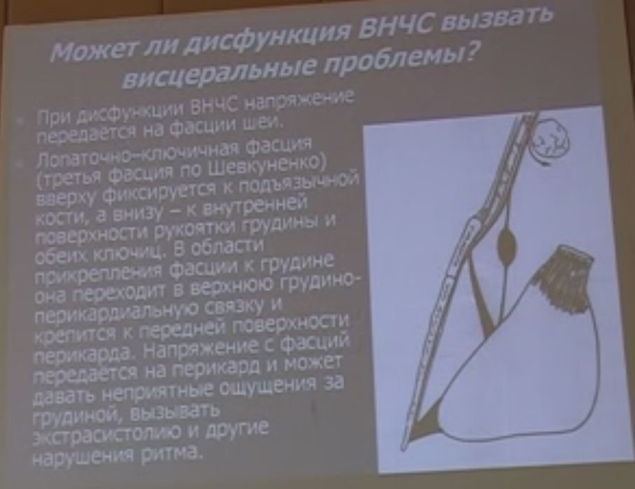 D0 A1 D0 BD D0 B8 D0 BC D0 BE D0 BA5.jpeg