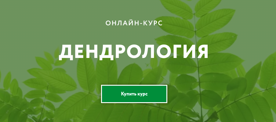 Снимок экрана 2021-11-04 в 15.20.57.png