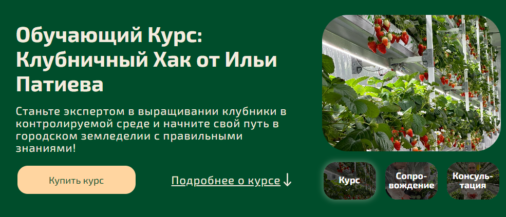 Без имени.png