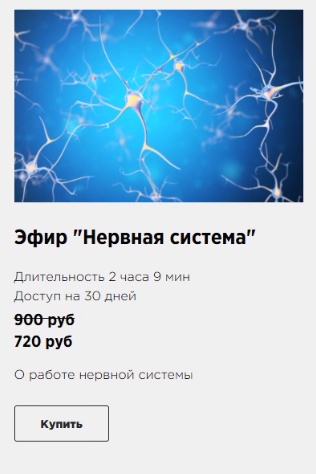 нервная система.png